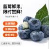 藏马密语蓝莓18mm+ 12盒【125g/盒】 精选大果【单果18mm+】丨85%人选