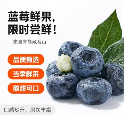 藏马密语蓝莓18mm+ 12盒【125g/盒】 精选大果【单果18mm+】丨85%人选
