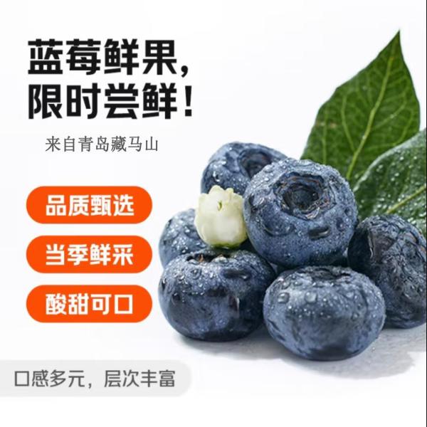 藏马密语蓝莓18mm+ 12盒【125g/盒】 精选大果【单果18mm+】丨85%人选