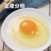 【箱装鲜鸡蛋】360枚装 粉壳黄心蛋 整箱出售30斤-35斤装