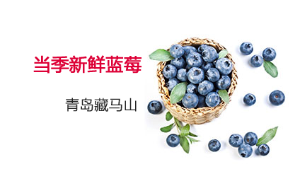 藏马密语蓝莓18mm+ 12盒 125g/盒_泰禾天丰热销推荐