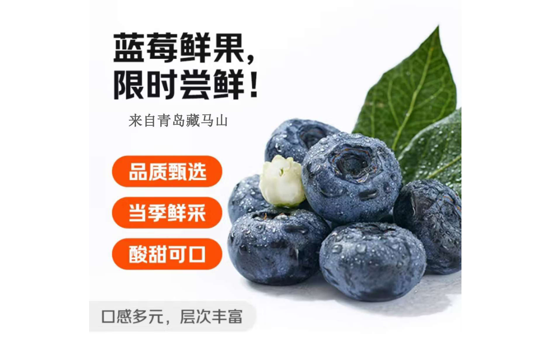 藏马密语蓝莓20mm+ 12盒 125g/盒_泰禾天丰热销推荐