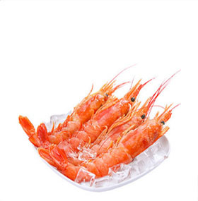 北极甜虾_泰禾天丰海鲜水产