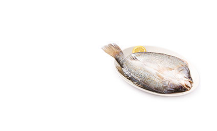 小黄鱼_泰禾天丰海鲜水产