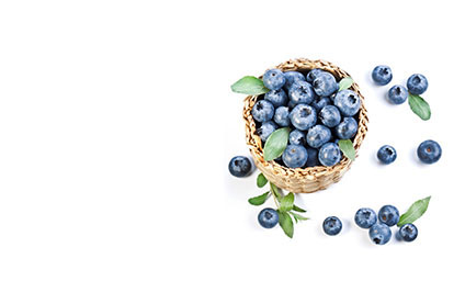  精选蓝莓大果 单果20mm+_泰禾天丰生鲜果蔬