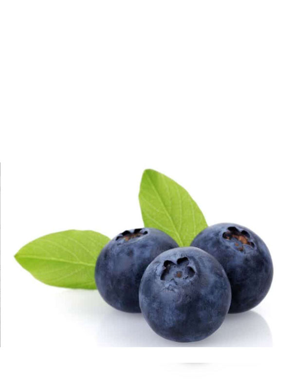藏马密语蓝莓12mm+ _泰禾天丰生鲜果蔬