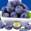 新鲜蓝莓